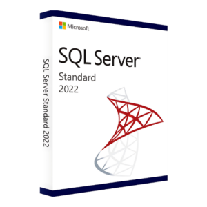 SQL Server 2022 Standard License Key